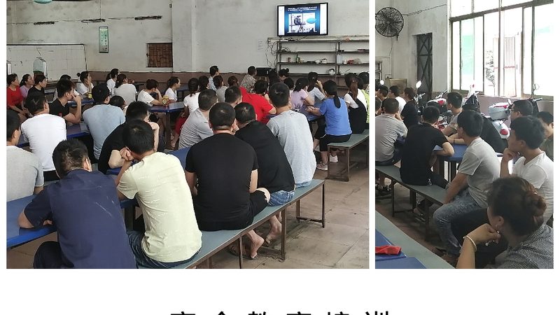小标题：一、网校系统的重要性